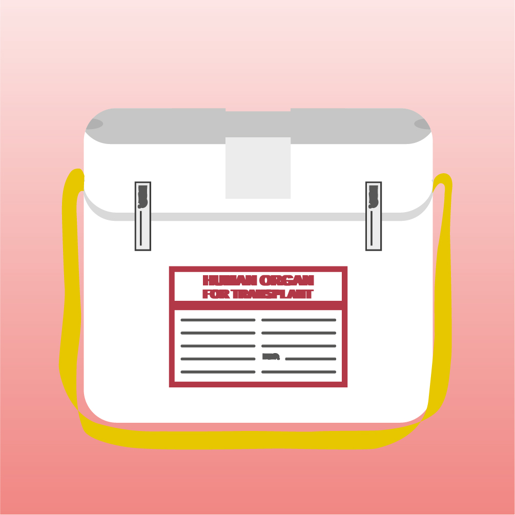 Transplantationsbeauftragter Arzt/Transplantationsbeauftragte Ärztin 2026 - Modul 2